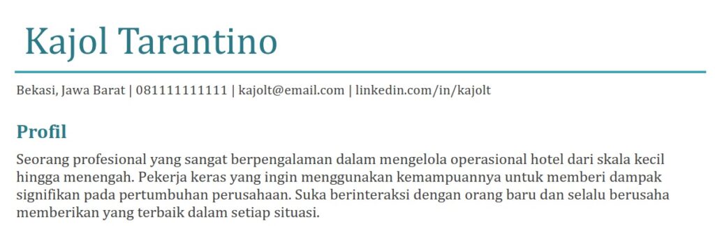 Contoh CV lamaran kerja yang jelek - 2