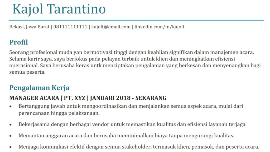Contoh CV lamaran kerja yang jelek - 4
