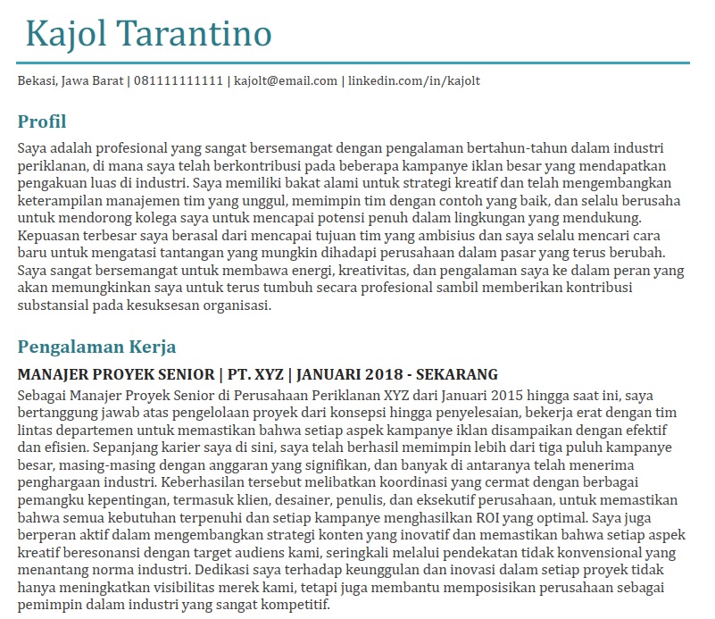 Contoh CV lamaran kerja yang jelek - 6